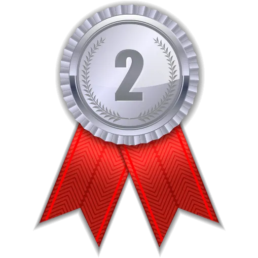 Top 2 Badge