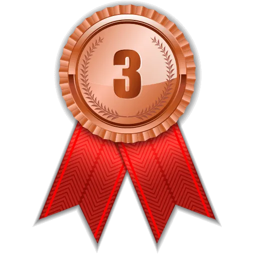 Top 3 Badge
